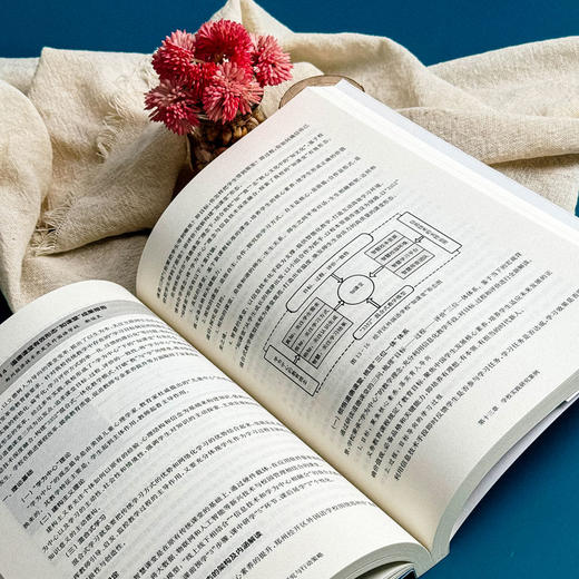 道德课堂 理论研究与行动策略 田保华 基础教育课程改革 商品图11