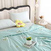 【紫韵家纺】紫韵 生态艾草助眠被 ZY-BM1669 200*230cm 商品缩略图1