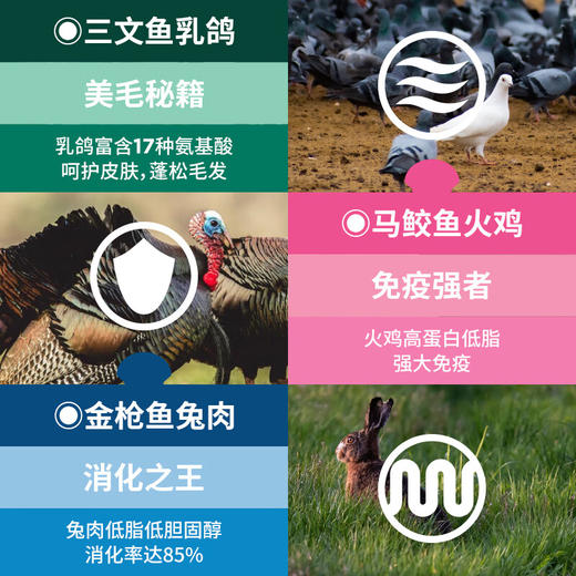 LEGENDSANDY蓝氏猫罐头全价主食真肉罐cute系列混合口味50g*6/盒 商品图2