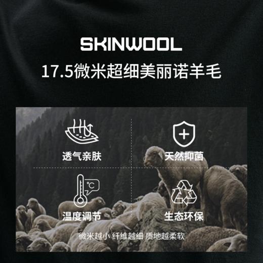 羊毛T恤 商品图1