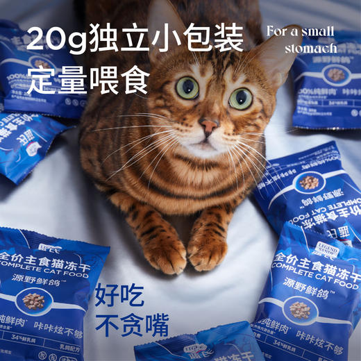 LEGENDSANDY蓝氏主食全价猫粮鲜肉乳鸽猫冻干生骨肉长肉发腮成猫幼猫粮240g/桶 商品图3