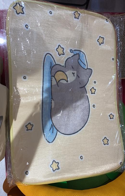 宠物冰垫 商品图1