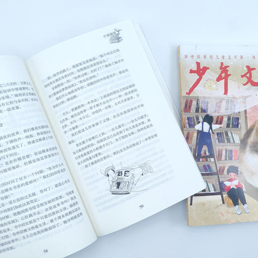 《少年文艺》14期征订 (含增刊2期，全年12册) 商品图11