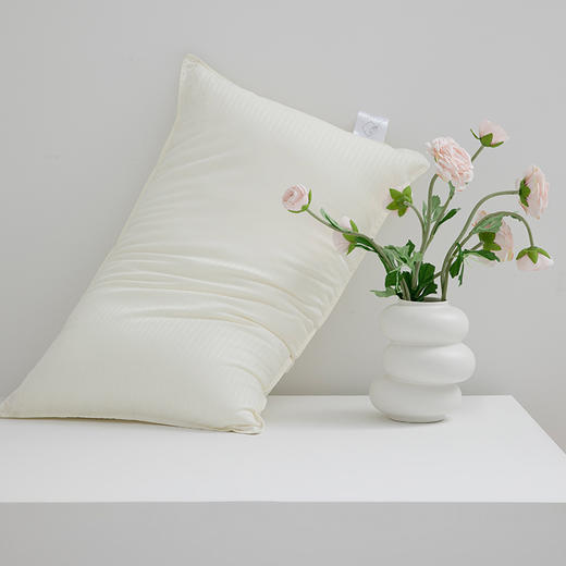 7楼堂皇家纺  馨雅枕 规格48*74  1只 商品图1
