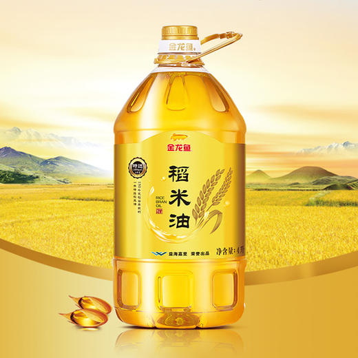 在售【春节福礼商品】XGH金龙鱼	金龙鱼特选稻米油4L 商品图1