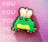 Crocs饰品智必星小小青蛙10013341 商品图0