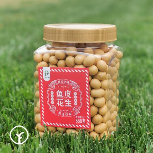 【超好吃的大桶鱼皮花生 远方检测SGS308项农残未检出】出口级品质，有机认证，收到反馈爆好!好吃到停不下来! 商品图3