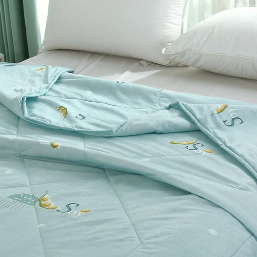 【紫韵家纺】紫韵 大豆蛋白生态被 ZY-BM1665 200*230cm 商品图3