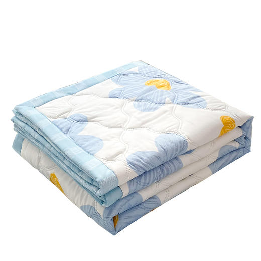 2024新款空调被夏凉被可机洗夏被单人宿舍夏季非纯棉全棉被芯薄款 商品图4