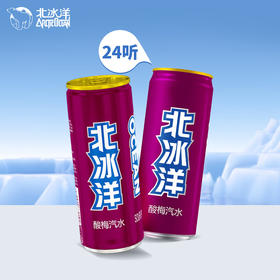 北冰洋 听装酸梅汽水330ml * 24