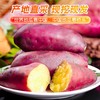 海南澄迈桥头地瓜6斤/3000g 商品缩略图3