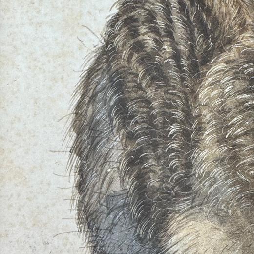 阿尔布雷希特·丢勒《野兔》（带框装裱画） 商品图8