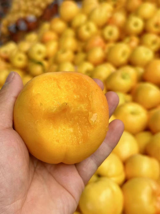 香蜜黄菊桃🍑 （4.5-5斤9-12枚）顺丰 商品图2