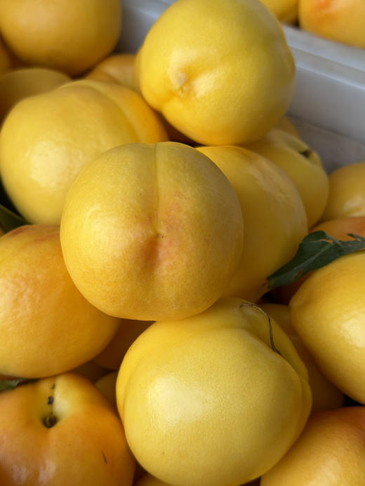 香蜜黄菊桃🍑 （4.5-5斤9-12枚）顺丰 商品图0