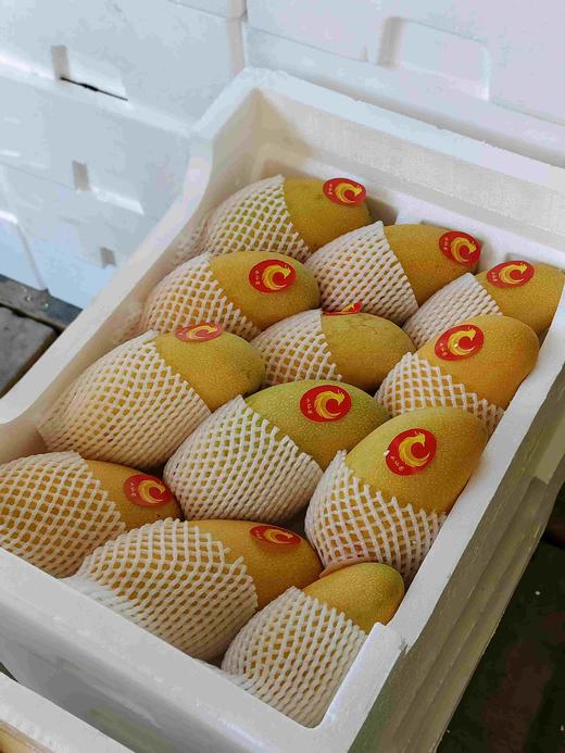 9.9元2斤海南水仙芒果大果一份（超重按4.95/斤补差价） 商品图0