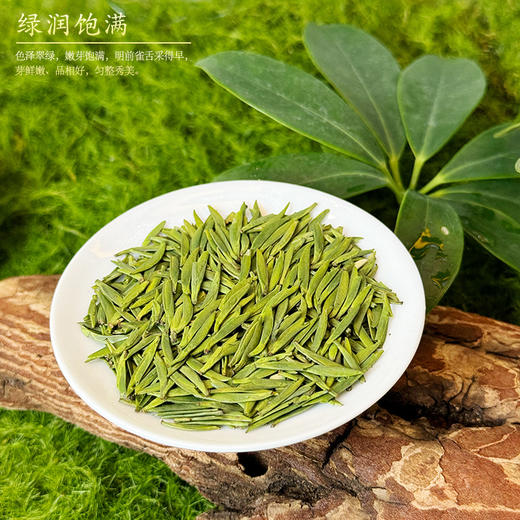 早春雀舌3000 商品图1