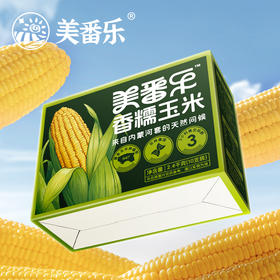 美番乐香糯玉米10根/箱