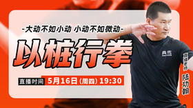 5月16日 以桩行拳