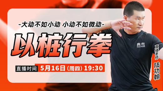 5月16日 以桩行拳 商品图0