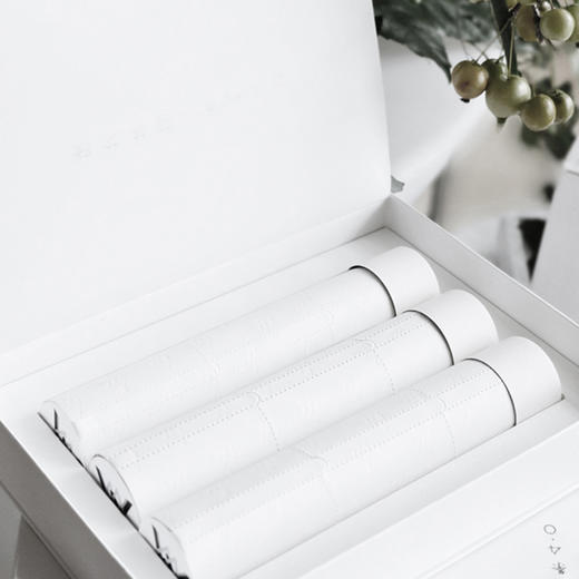 莫问艾蕲艾4.0 商品图0