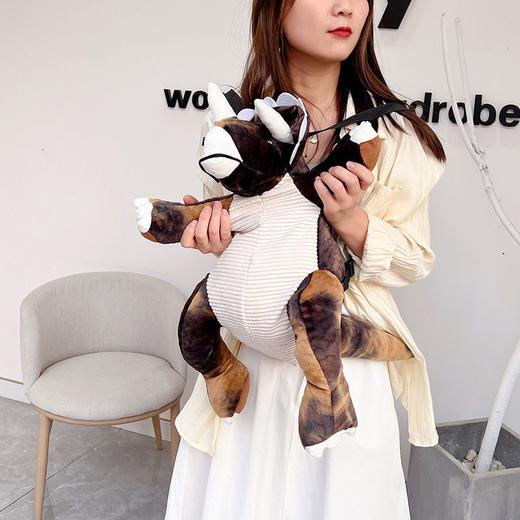 恐龙系列霸王龙喷翼龙书儿童书包可爱超萌卡通毛绒时尚ins旅游包 商品图4