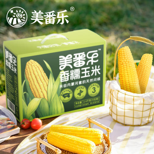 美番乐香糯玉米10根/箱 商品图2