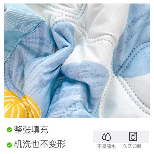 2024新款空调被夏凉被可机洗夏被单人宿舍夏季非纯棉全棉被芯薄款 商品图2