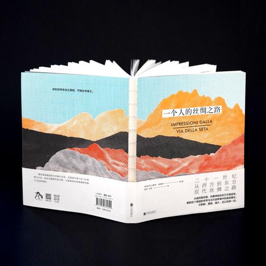 一个人的丝绸之路 商品图6