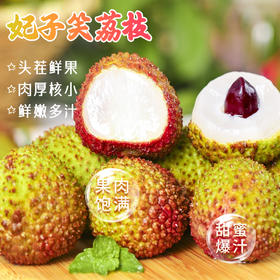胭脂红妃子笑荔枝 “妃”常新鲜 “妃”常美味树上熟
