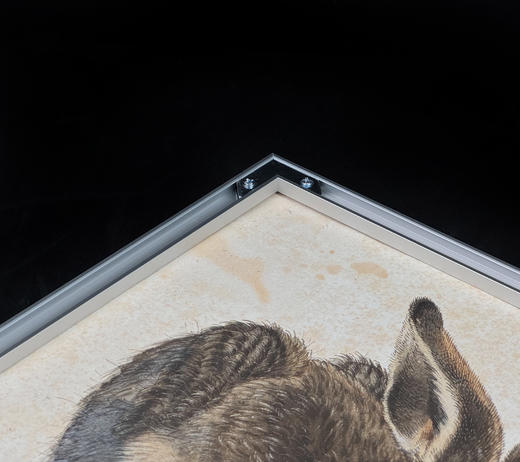 阿尔布雷希特·丢勒《野兔》（带框装裱画） 商品图10