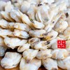 【闹妈海鲜】舟山现剥蛤蜊肉 250g/盒 冻发 商品缩略图1