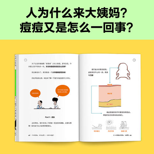 《半小时漫画青春期》（全3册） 商品图2