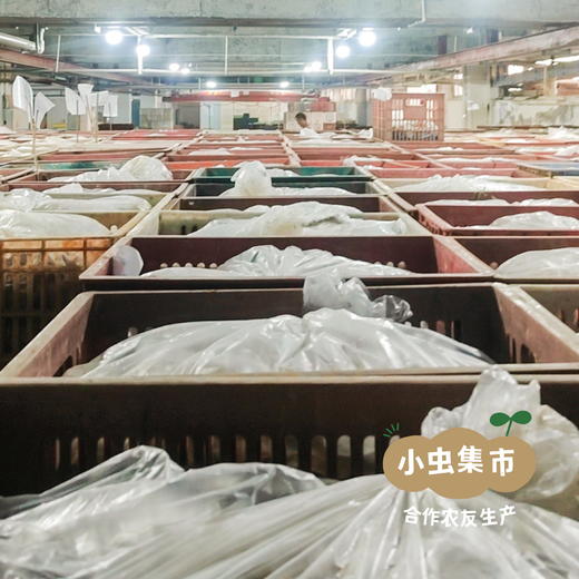 生态咸鸭蛋 6/15枚装 | 合作农友生产，产自四川德阳，生产者：韩建斌 *【公平贸易农人定价】 商品图12