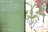 【中商原版】中世纪猫的生活 装饰手抄本图鉴 日文艺术原版 中世ネコのくらし 装飾写本でたどる Kathleen Walker-Meikle 商品缩略图4