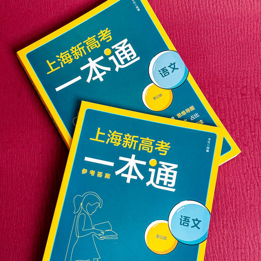 上海新高考一本通 语文 第三版 高考一轮复习 上海高考语文考点 商品图3