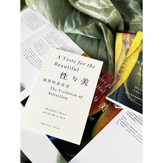 性与美：颜值的进化史(【美】迈克尔·瑞安) 商品图2