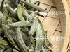 【2024春茶来了】2024头采白毫银针，鲜、嫩、爽、滑，怎一个“嫩”字了得？ 商品缩略图5