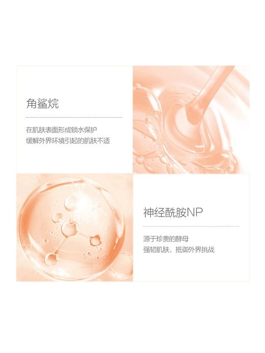 （防晒爆品）嗳乐蓓贝温润呵护防护乳50g 商品图2