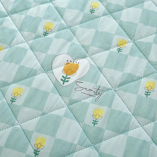 【紫韵家纺】紫韵 馨香元气被 ZY-BM1662 200*230cm 商品图2