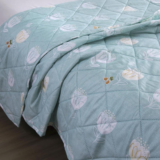 【紫韵家纺】紫韵 春田花语防螨被 ZY-BM1671 150*200cm 商品图3