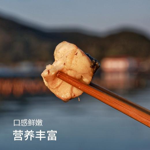 【SGS2次复检8顶兽残34顶激素74抗生素12项欧盟药残0检出活鱼加工】国家地理标志产品 宁德黄花鱼 大黄鱼|海鲜频道 商品图2