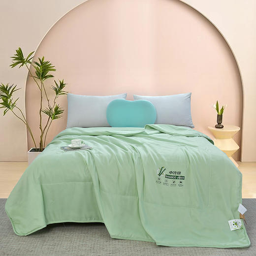 【紫韵家纺】紫韵 小竹棉清香抗菌被 ZY-BM1670 200*230cm 商品图0