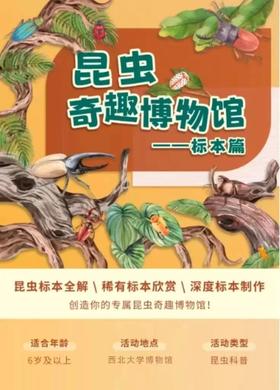 【标本制作系列活动（共两期）】昆虫奇趣博物馆 | 西北大学博物馆文创体验营第亲子体验项目报名啦！