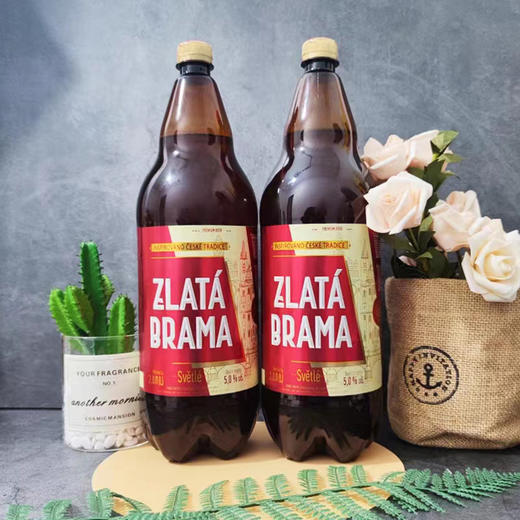 乌克兰进口泽塔大师全麦啤酒2L 商品图2