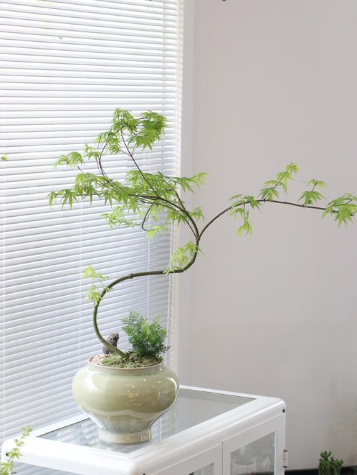 家简法空间开业专属花礼 商品图11