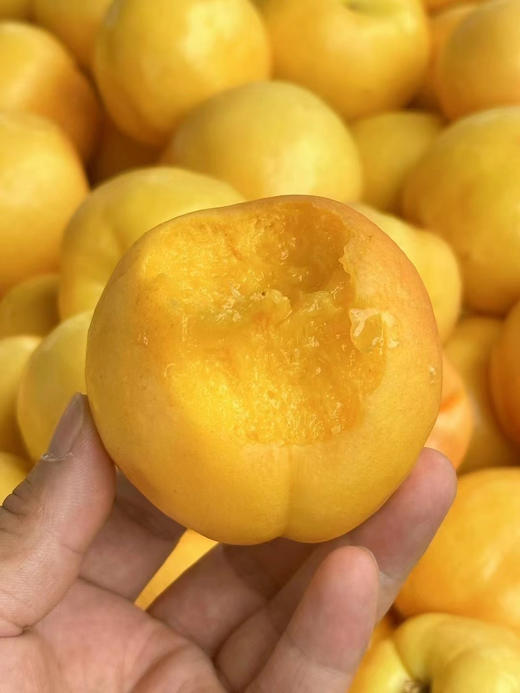 香蜜黄菊桃🍑 （4.5-5斤9-12枚）顺丰 商品图3