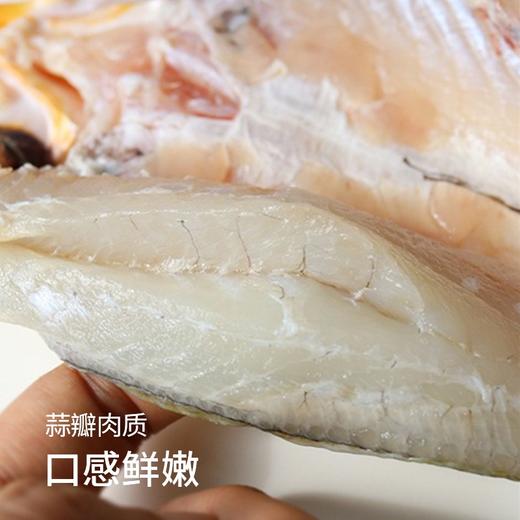 【SGS2次复检8顶兽残34顶激素74抗生素12项欧盟药残0检出活鱼加工】国家地理标志产品 宁德黄花鱼 大黄鱼|海鲜频道 商品图1