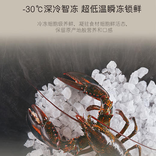 卡萨帝（Casarte）721升超大容量法式多门白色家用自由嵌入式冰箱双系统低氧窖藏养鲜秀岩面板系列 721升+独立双系统+MRA低氧窖藏+深冷智冻 商品图5