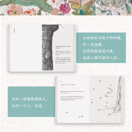 一蔸雨水一蔸禾+蔡皋经典中国绘本·桃花源的故事 商品图1