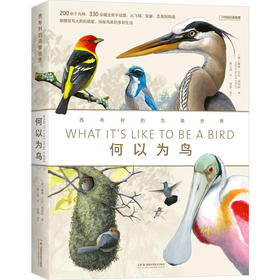 何以为鸟：西布利的鸟类世界 当代观鸟、画鸟大师西布利全新画册 包含200余个常见鸟种或类群，330余幅全新手绘图介绍鸟类生活 识鸟辨鸟指南